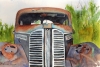 Days Gone By